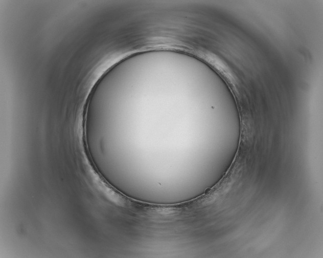 X0000112061431200908181148