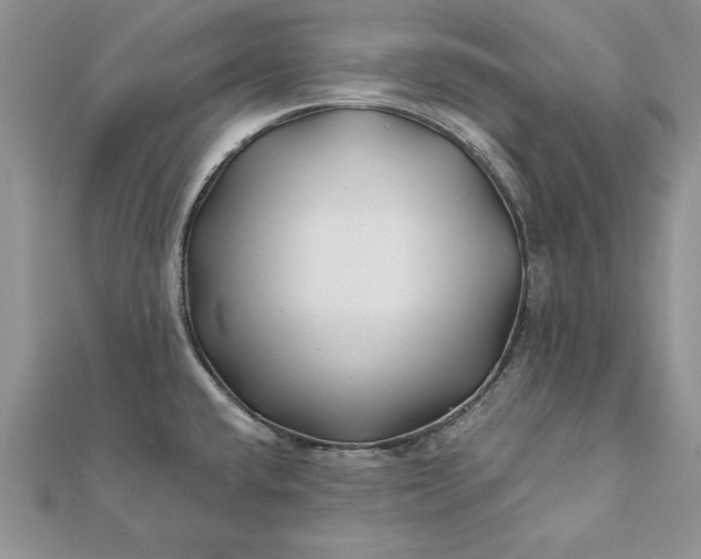 X0000112061432200908181148