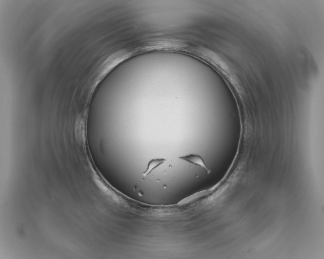 X0000112061433200908181148