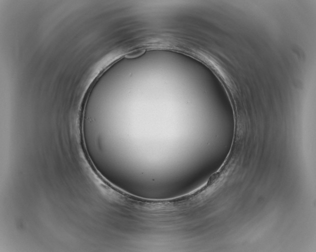 X0000112061434200908181148