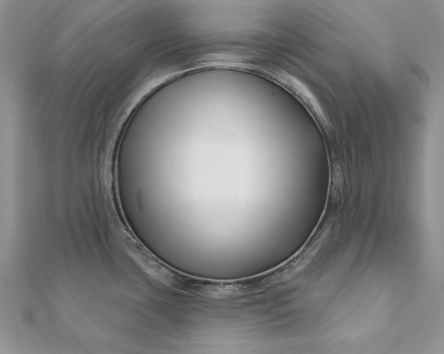 X0000112061435200908181148