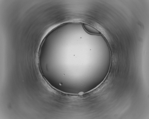 X0000112061436200908181148