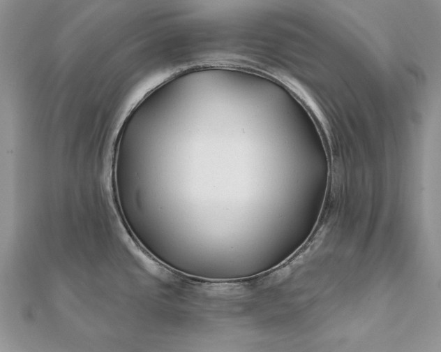 X0000112061437200908181148