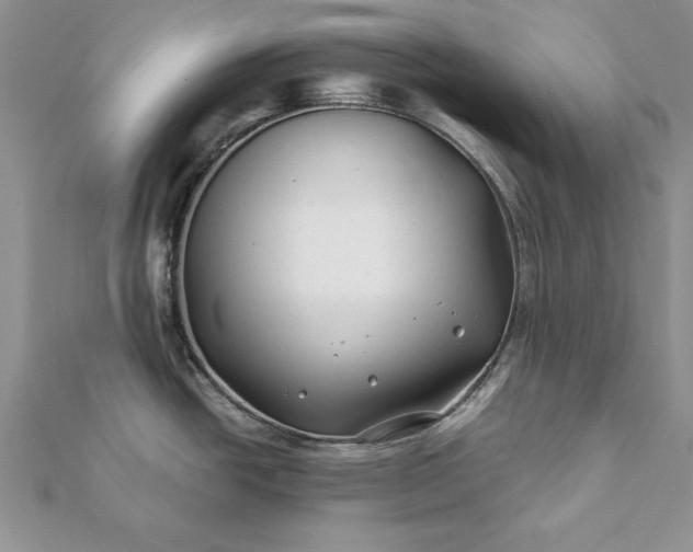 X0000112061438200908181148