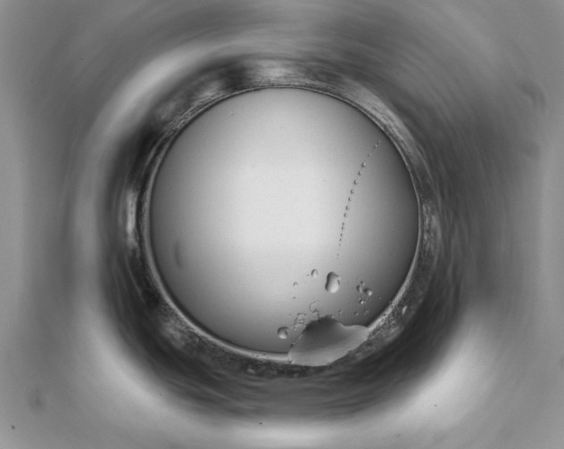 X0000112061439200908181148