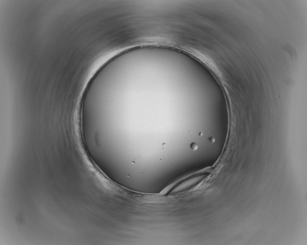 X0000112061440200908181148