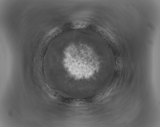 X0000112061441200908181147