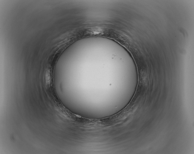 X0000112061442200908181147