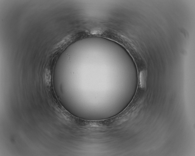 X0000112061443200908181147