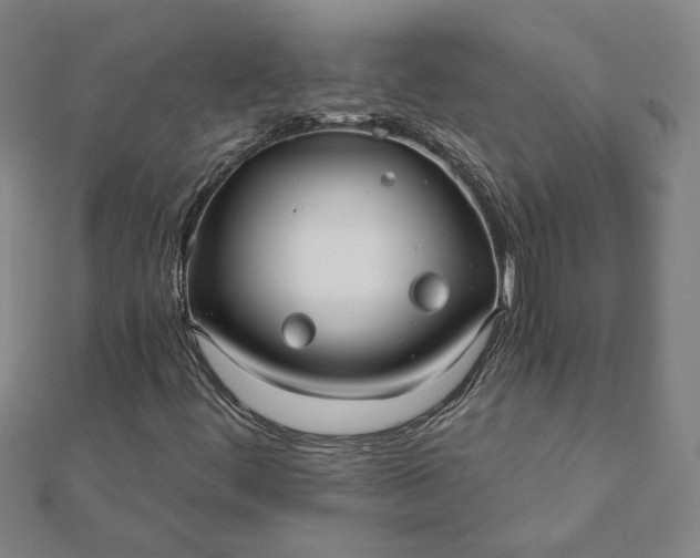 X0000112061444200908181147