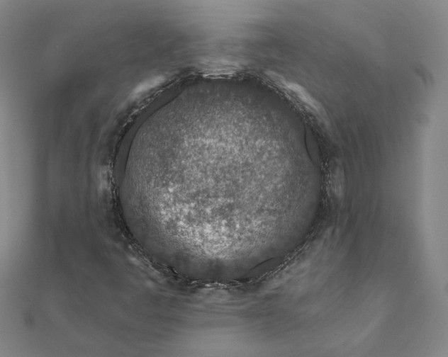 X0000112061445200908181147