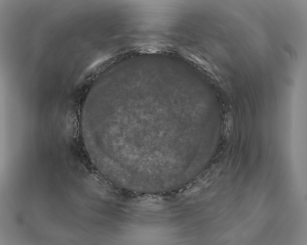 X0000112061446200908181147