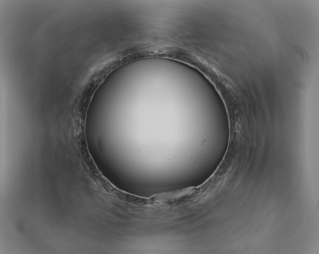 X0000112061447200908181147