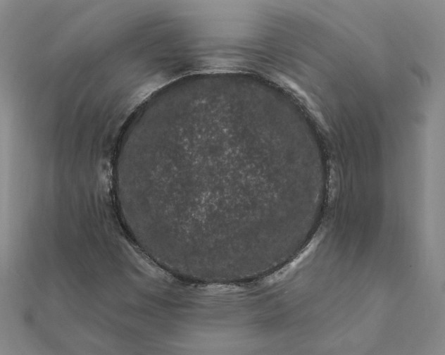 X0000112061449200908181147