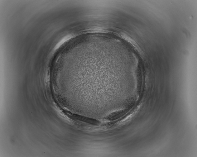 X0000112061450200908181147