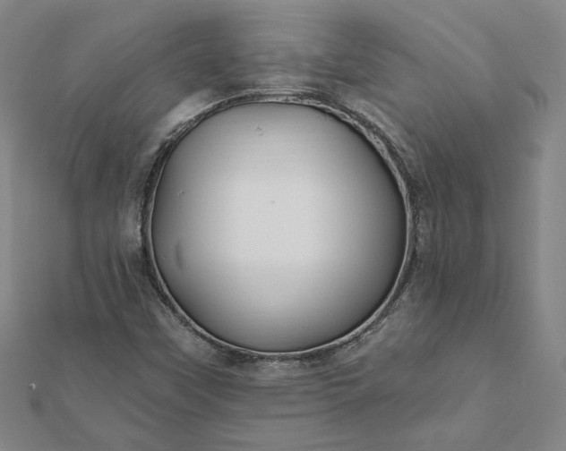 X0000112061451200908181147