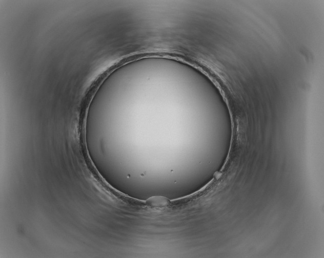 X0000112061452200908181147