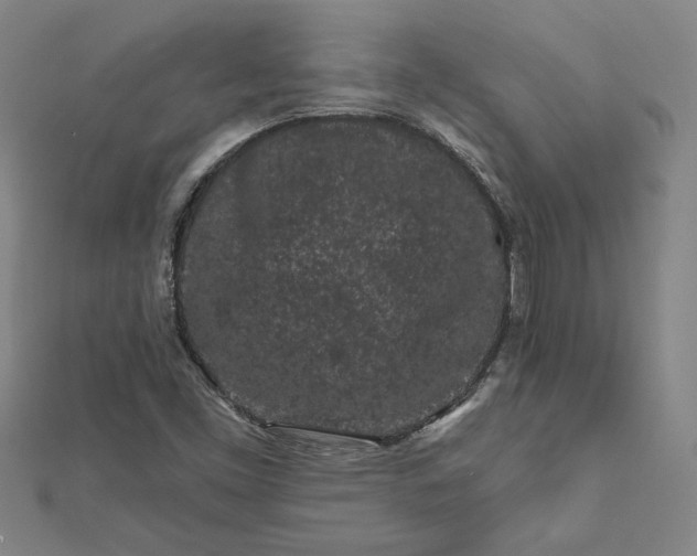 X0000112061453200908181147