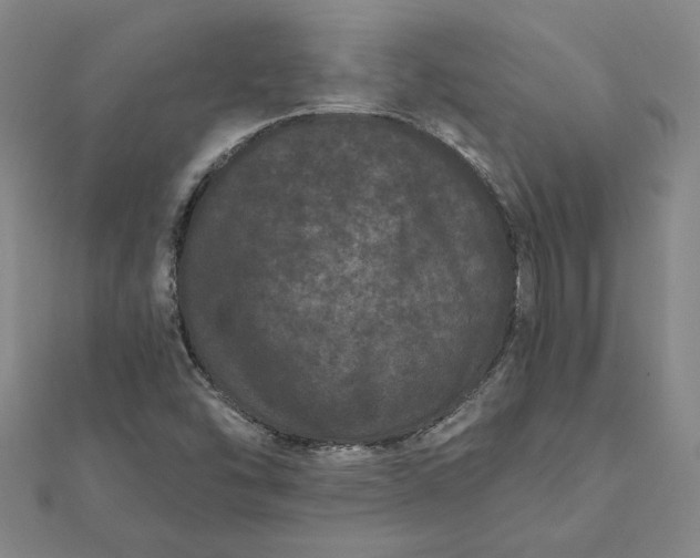 X0000112061454200908181147