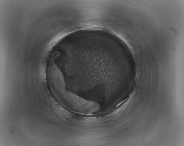 X0000112061455200908181147