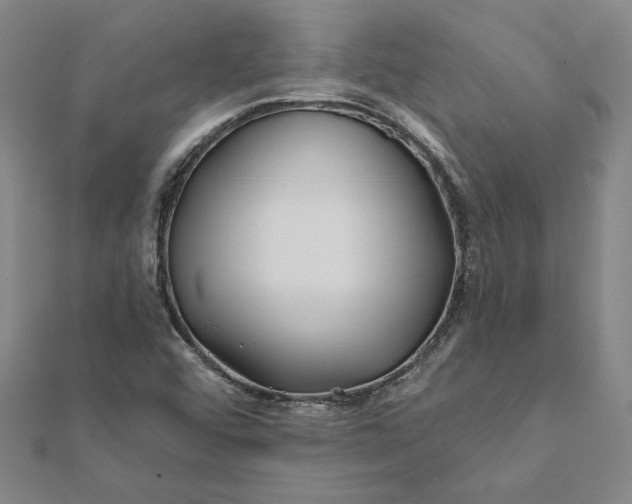 X0000112061456200908181147