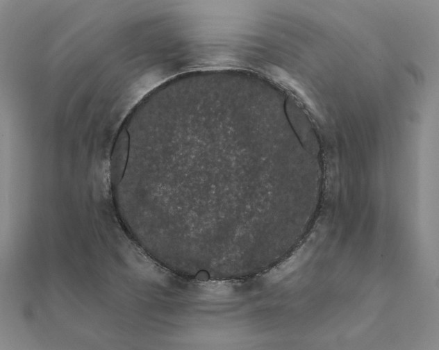 X0000112061457200908181147