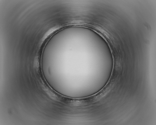 X0000112061458200908181147