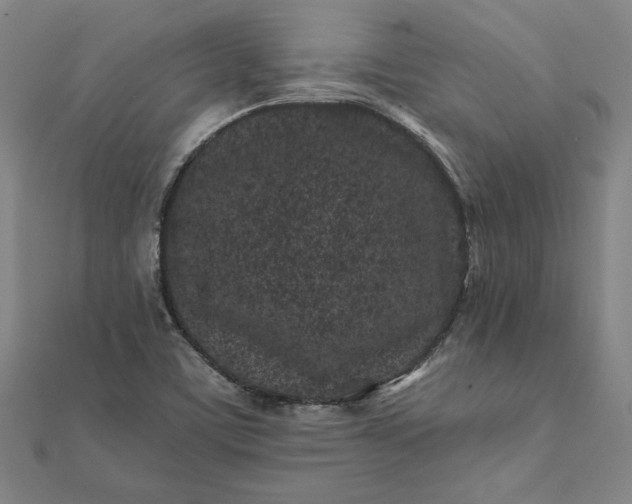 X0000112061459200908181147