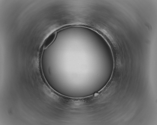 X0000112061460200908181147