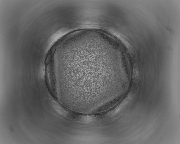 X0000112061461200908181147