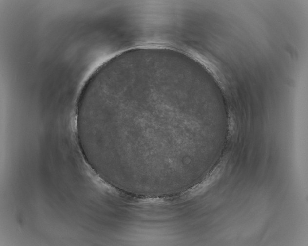 X0000112061462200908181147