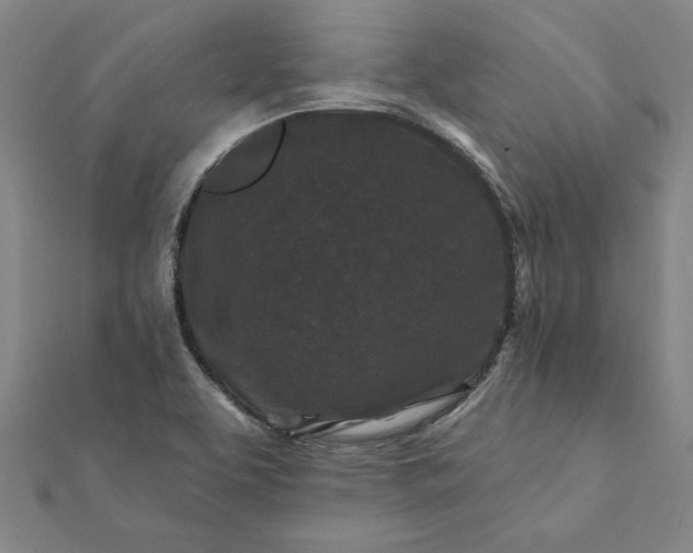 X0000112061463200908181147