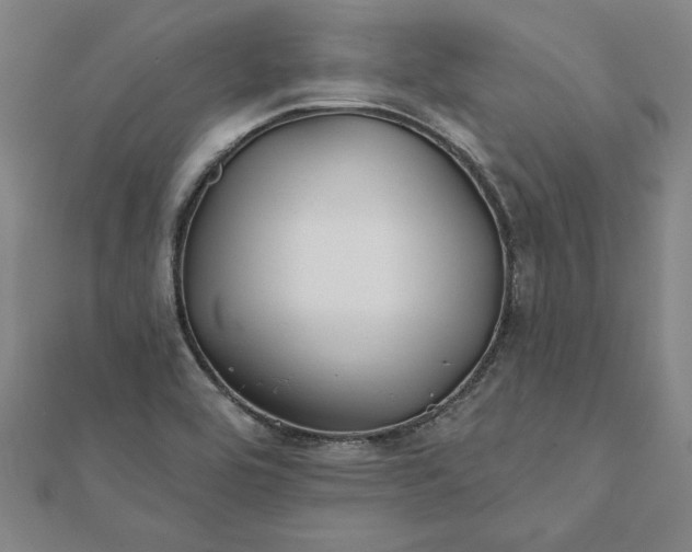 X0000112061464200908181147