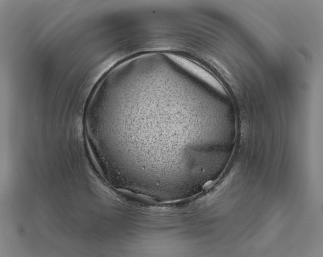 X0000112061465200908181147