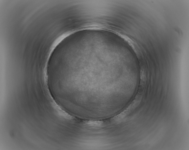 X0000112061466200908181147