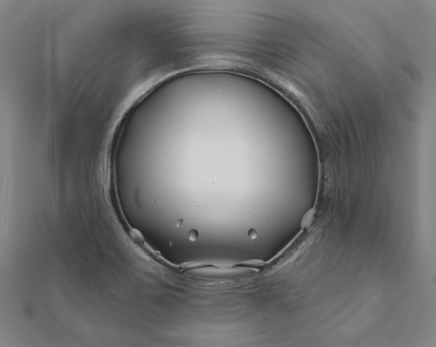 X0000112061467200908181147