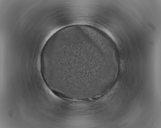 X0000112061468200908181147