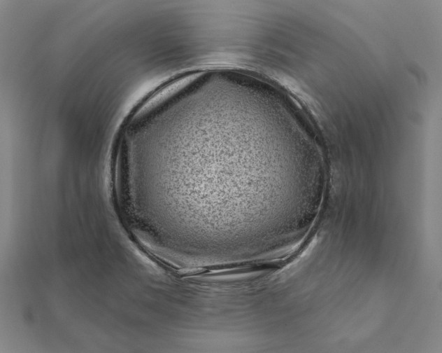 X0000112061469200908181147