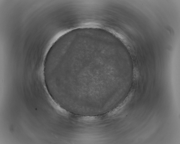 X0000112061470200908181147