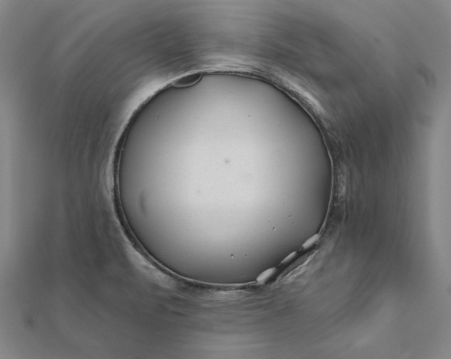 X0000112061471200908181147