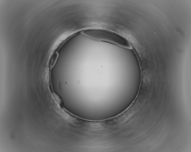 X0000112061472200908181147