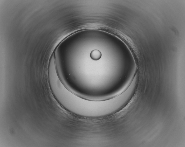 X0000112061473200908181147