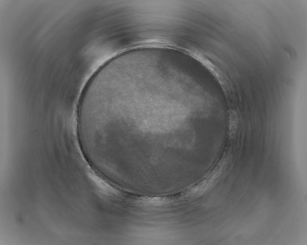 X0000112061474200908181147