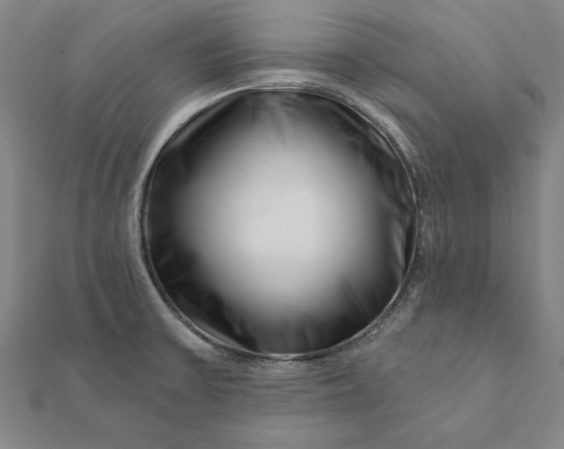 X0000112061475200908181147