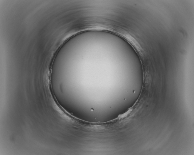 X0000112061476200908181147