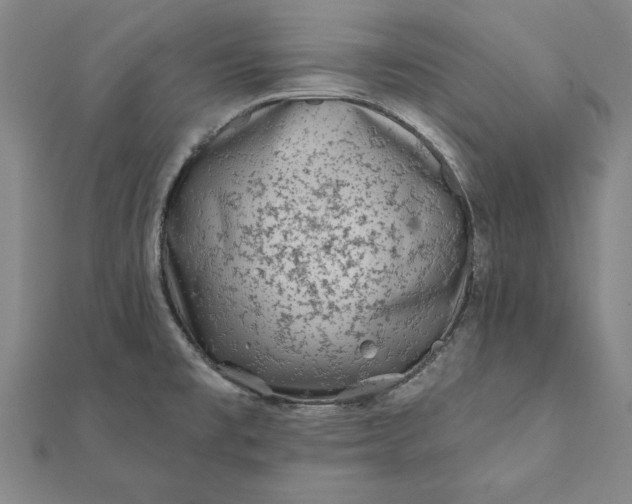 X0000112061477200908181147