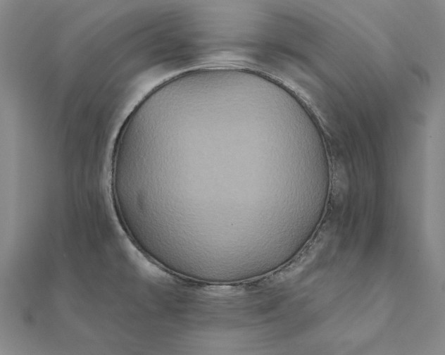 X0000112061478200908181147