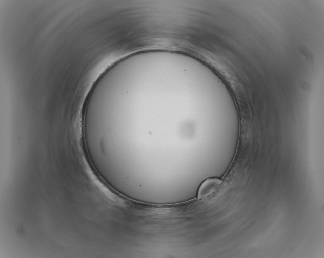 X0000112061479200908181147