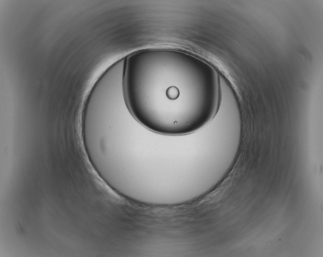 X0000112061480200908181147