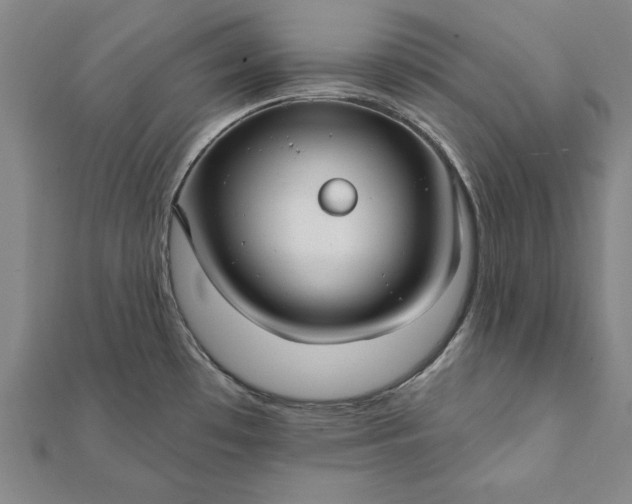 X0000112061481200908181147